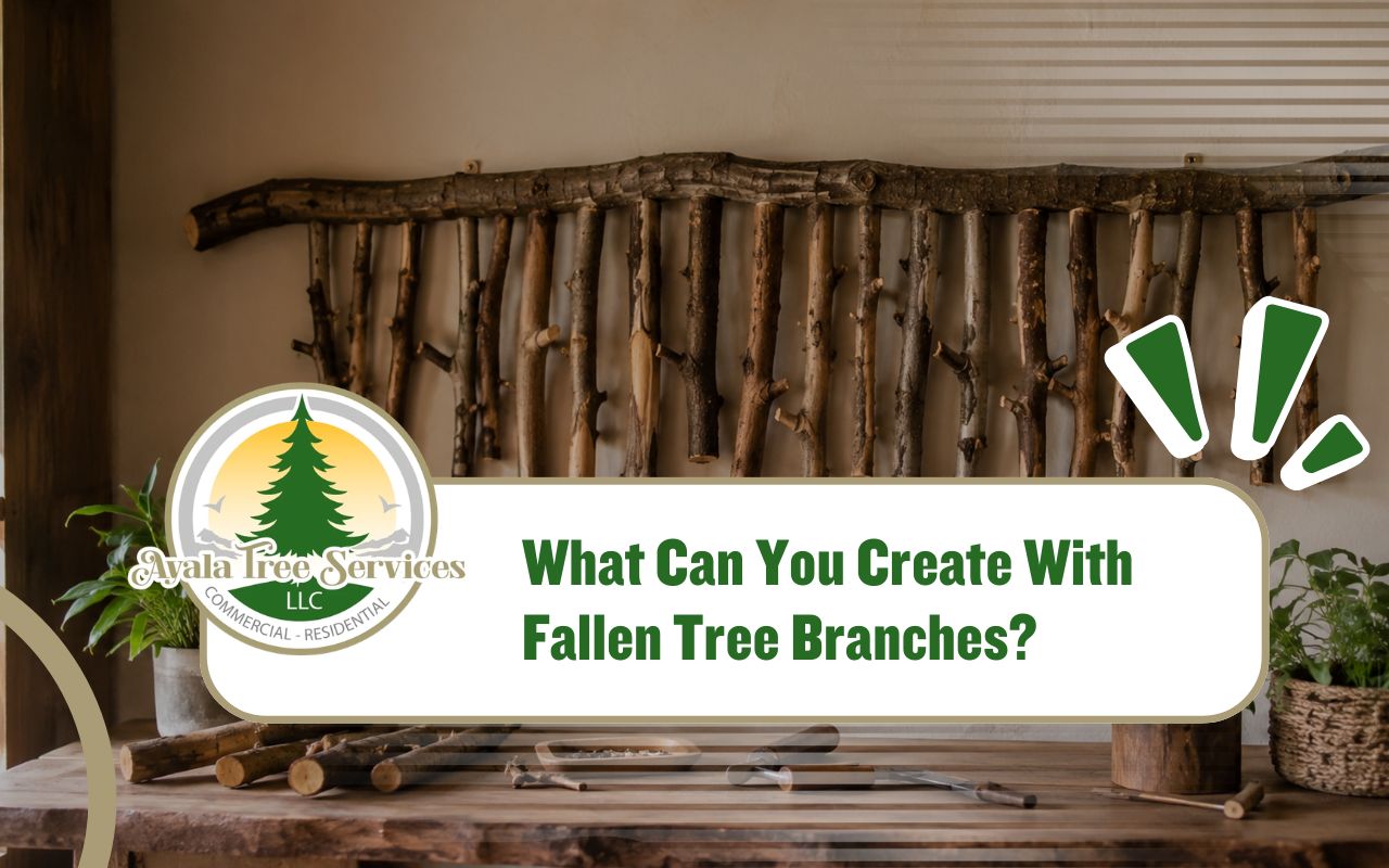 Fallen tree branches turned into rustic wall art