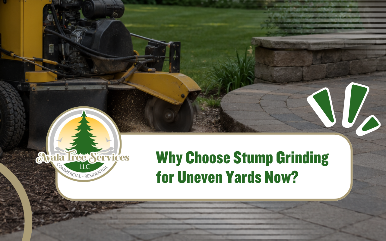 stump grinding for uneven yards removing a raised lawn hazard