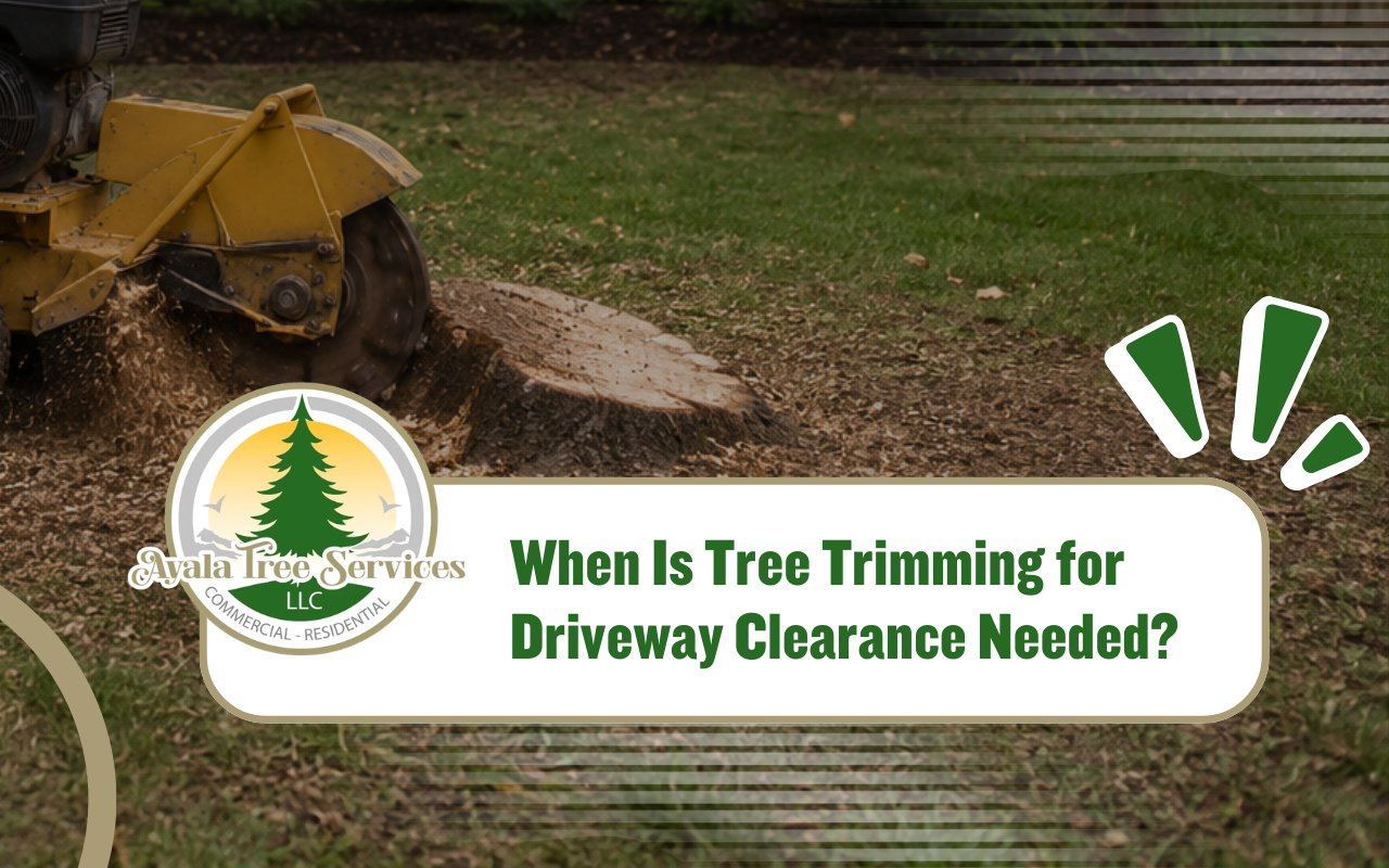 Tree trimming for driveway clearance near a residential entrance