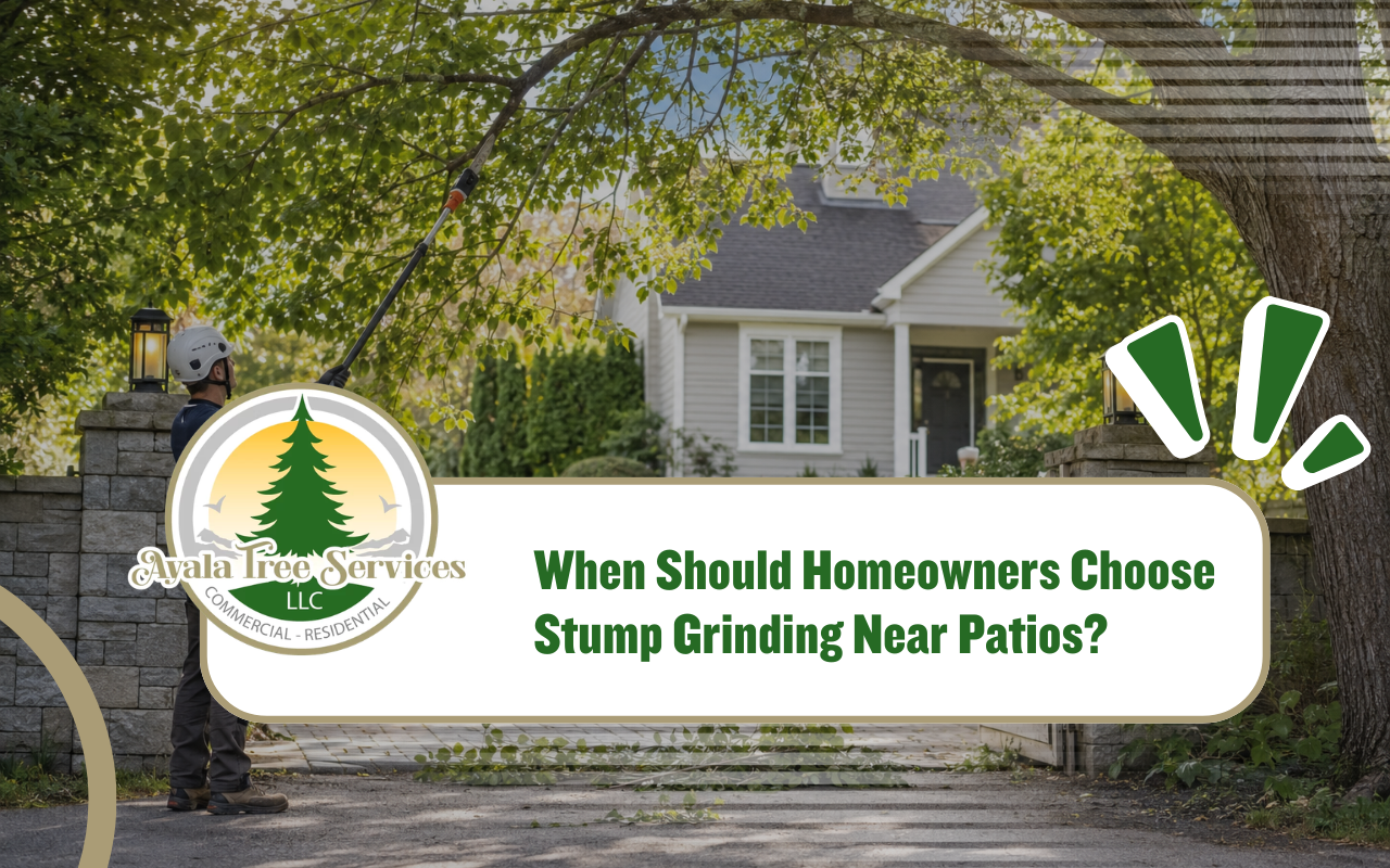 Stump grinding near patios to improve safety around a Roswell yard