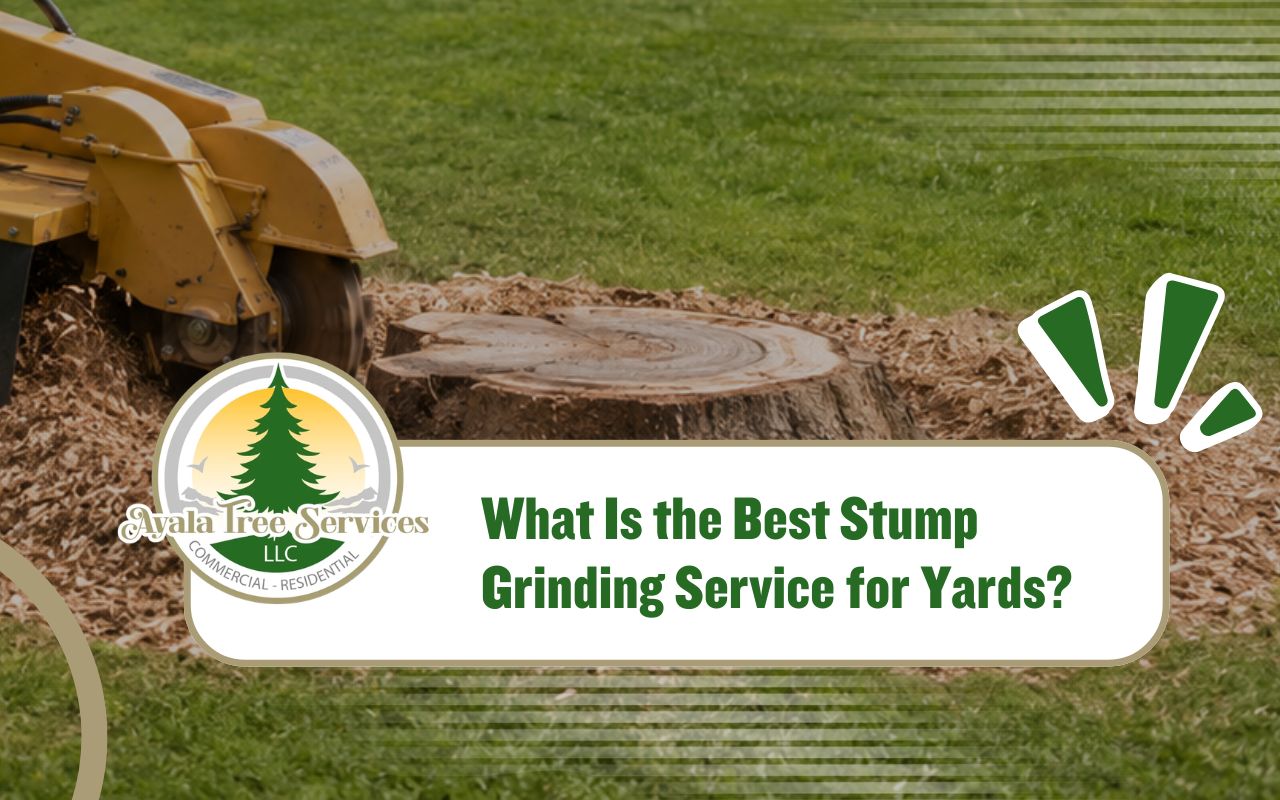 stump grinding service clearing an old stump from a clean yard