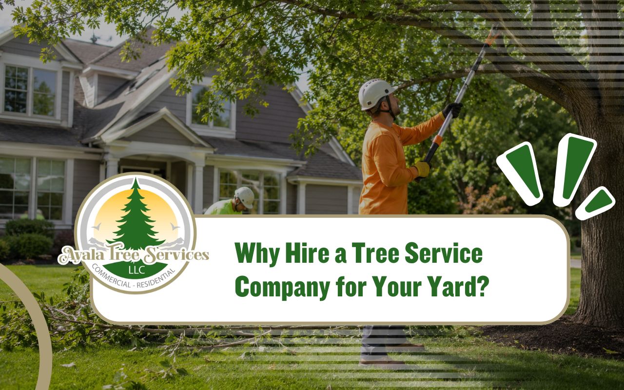 tree service company improving yard safety with careful tree care