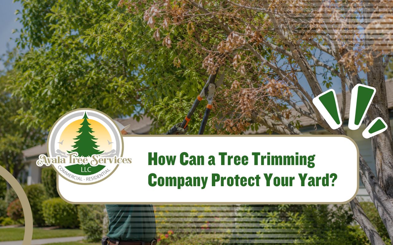 tree trimming company performing careful branch trimming