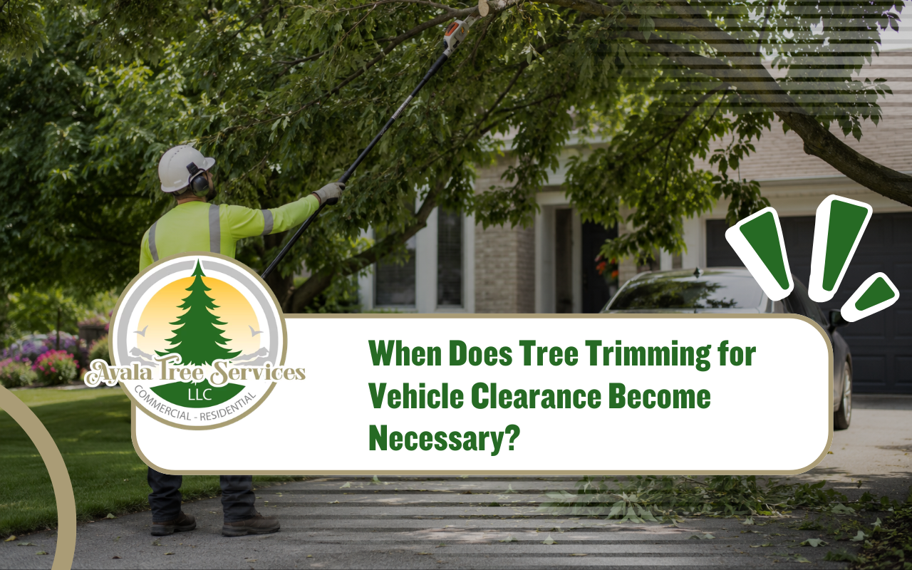 tree trimming for vehicle clearance near a residential drivew