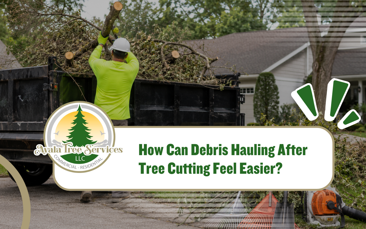 Debris hauling after tree cutting with organized cleanup tools