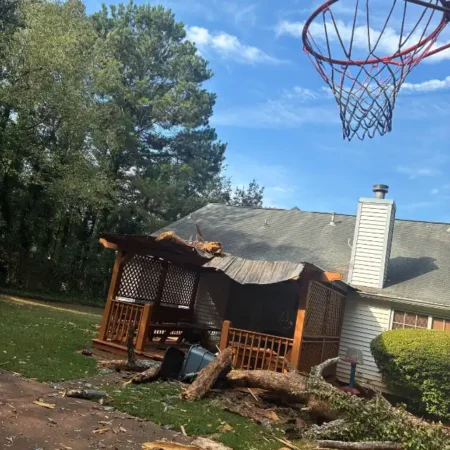 recent-project-ayala-tree-service-21