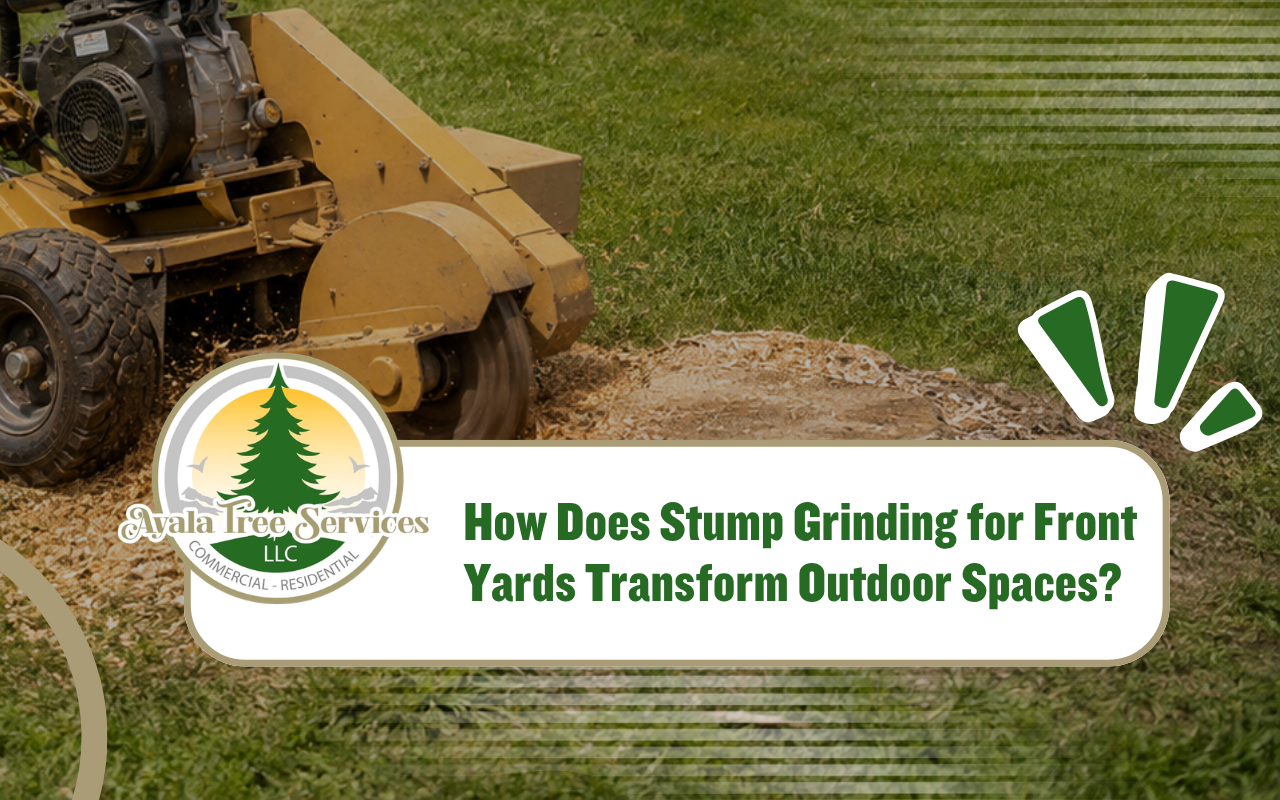 Stump grinding for front yards creating a clean lawn