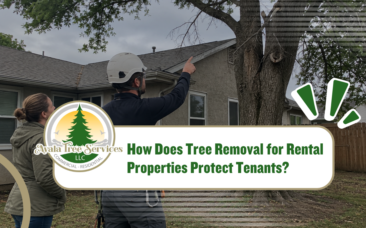 Tree removal for rental properties safety inspection before work begins